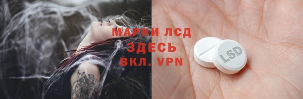 ГАЛЛЮЦИНОГЕННЫЕ ГРИБЫ Зеленодольск