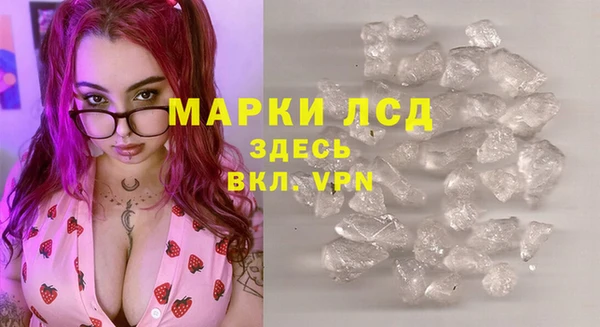 ГАЛЛЮЦИНОГЕННЫЕ ГРИБЫ Зеленодольск