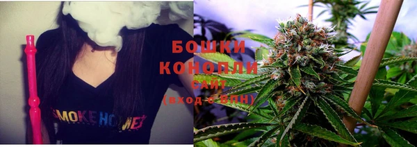 прущие крисы Зеленокумск