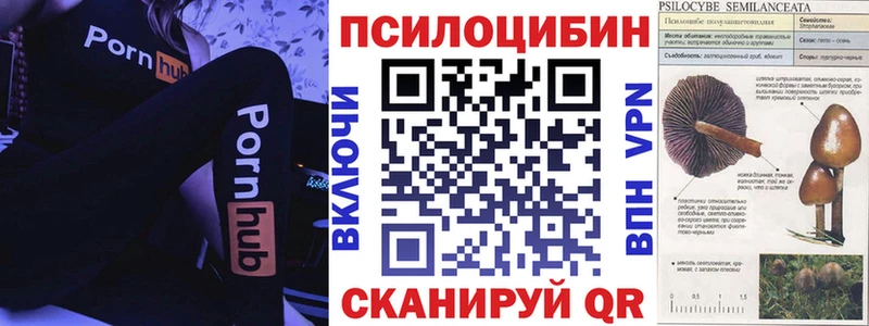 Купить закладки  Ревда  Галлюциногенные грибы Cubensis 